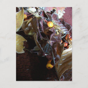 Fallen Leaves Postcard