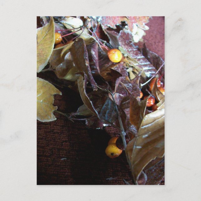 Fallen Leaves Postcard (Front)