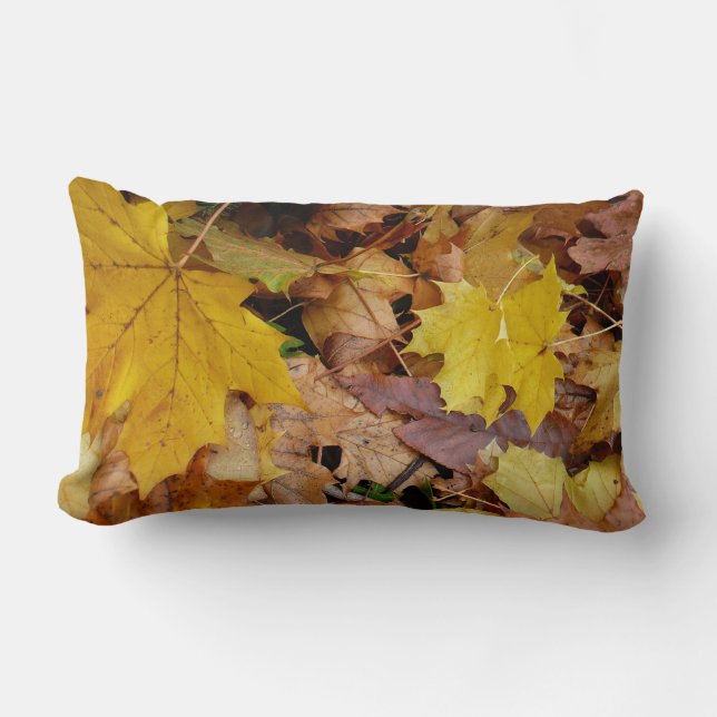 Fallen Maple Leaves Yellow Autumn Nature Lumbar Cushion (Front)