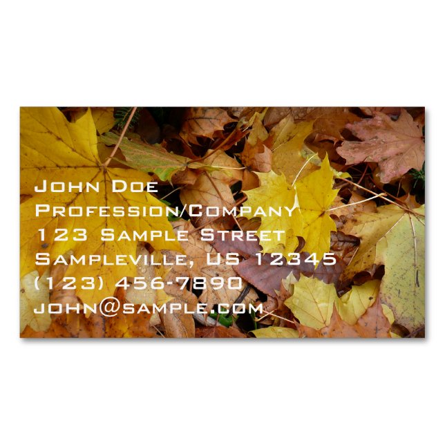 Fallen Maple Leaves Yellow Autumn Nature Magnetic Business Card (Front)
