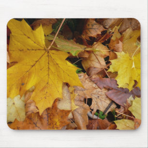 Fallen Maple Leaves Yellow Autumn Nature Mouse Pad