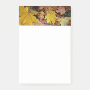 Fallen Maple Leaves Yellow Autumn Nature Post-it Notes