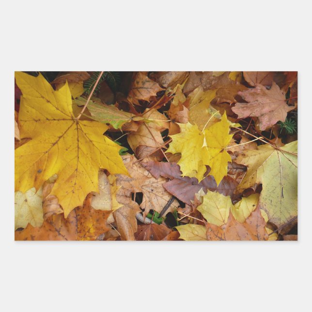 Fallen Maple Leaves Yellow Autumn Nature Rectangular Sticker (Front)