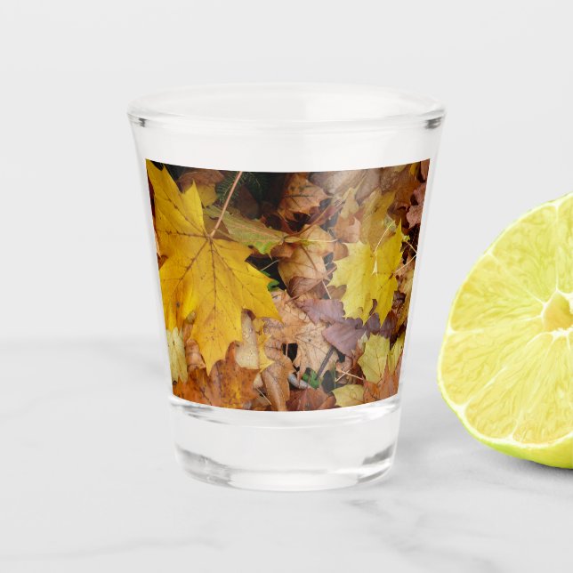 Fallen Maple Leaves Yellow Autumn Nature Shot Glass (Front)