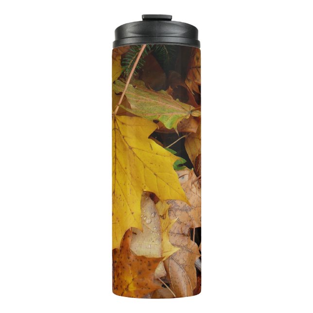 Fallen Maple Leaves Yellow Autumn Nature Thermal Tumbler (Front)