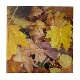 Fallen Maple Leaves Yellow Autumn Nature Tile