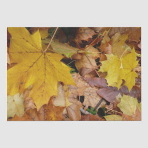 Fallen Maple Leaves Yellow Autumn Nature Tissue Paper
