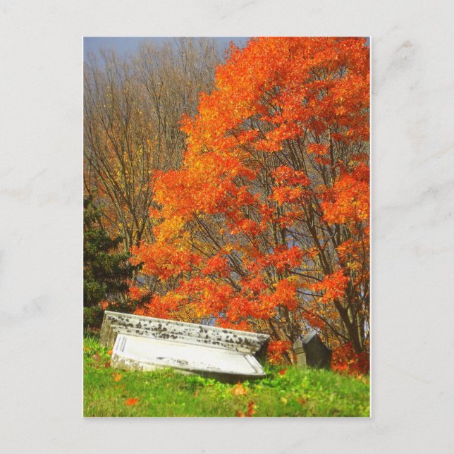 Fallen Postcard (Front)