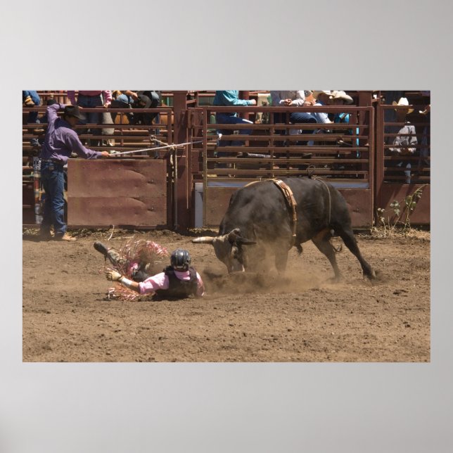 Fallen rider is about to meet his angry mount poster (Front)