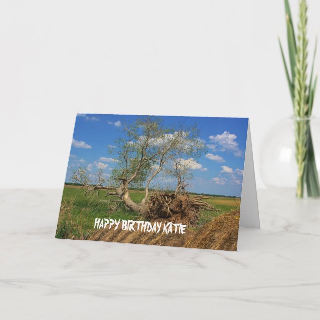 Fallen Tree Birthday Card (Front)