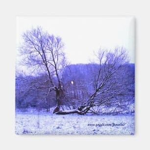 Fallen Tree Blue Magnet