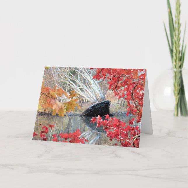 Fallen tree card (Front)