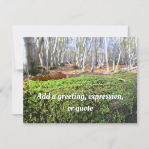 Fallen Tree in Autumn Moss - Personalised Postcard