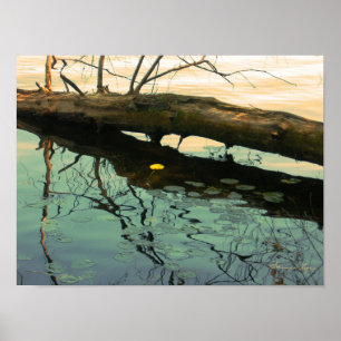 Fallen tree in water stylised poster