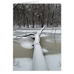 Fallen Tree in Winter Card