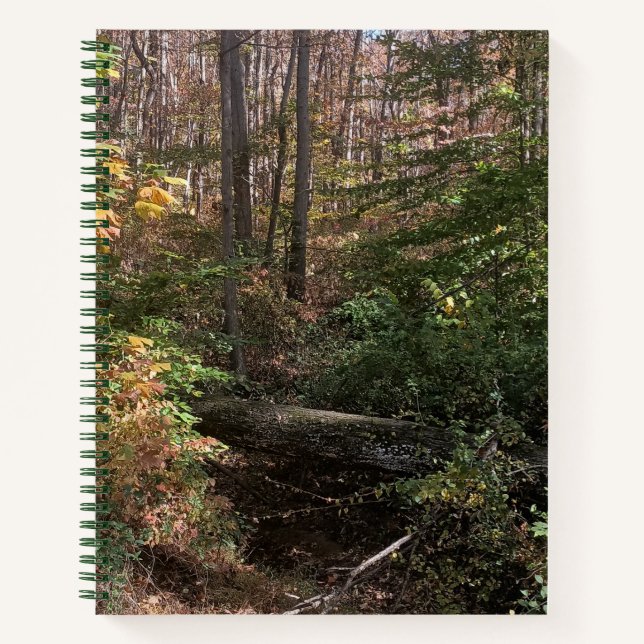 Fallen Tree In Woods Spiral Journal  (Front)