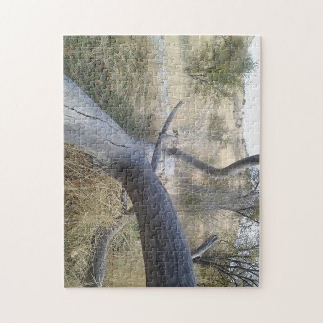 fallen tree jigsaw puzzle (Vertical)