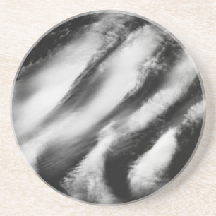 fallen vultures coaster