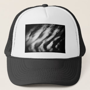 fallen vultures trucker hat