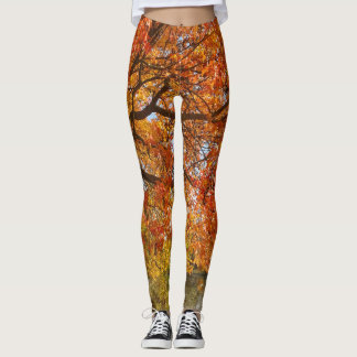 Fallin' leggings for women