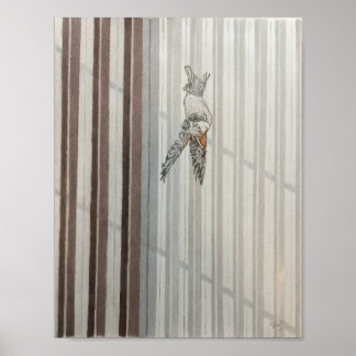 Falling Bird Poster