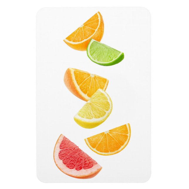 Falling citrus slices magnet (Vertical)