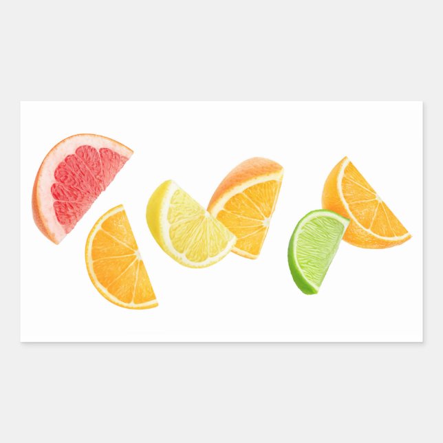Falling citrus slices rectangular sticker (Front)