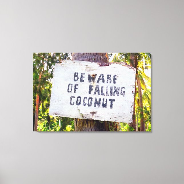 FALLING COCONUTS 24x36 Canvas Print (Front)