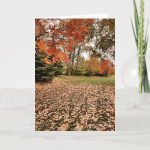 Falling for Iowa Blank Note Card