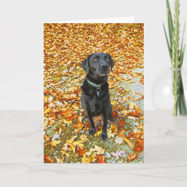 Falling for You Greeting Card (Front)