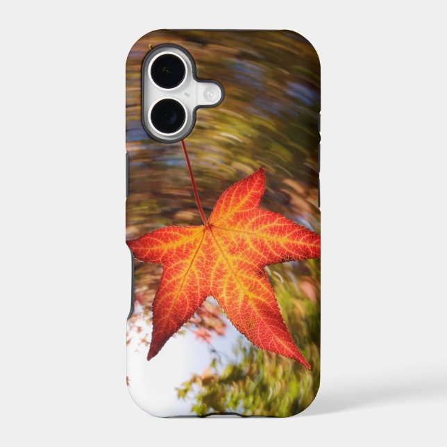 Falling Leaf from a tree in autumn (Back)