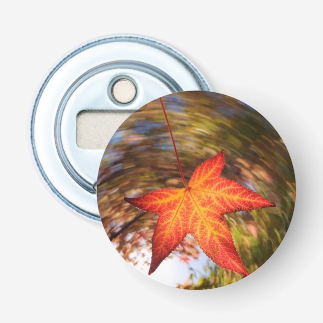 Falling Leaf from a tree in autumn Bottle Opener (Front)