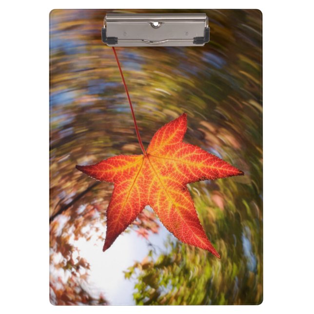 Falling Leaf from a tree in autumn Clipboard (Front)