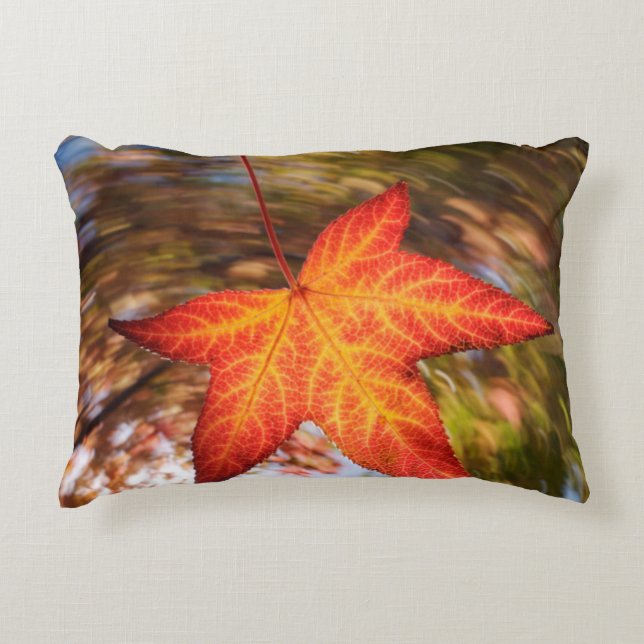 Falling Leaf from a tree in autumn Decorative Cushion (Front)