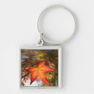 Falling Leaf from a tree in autumn Key Ring