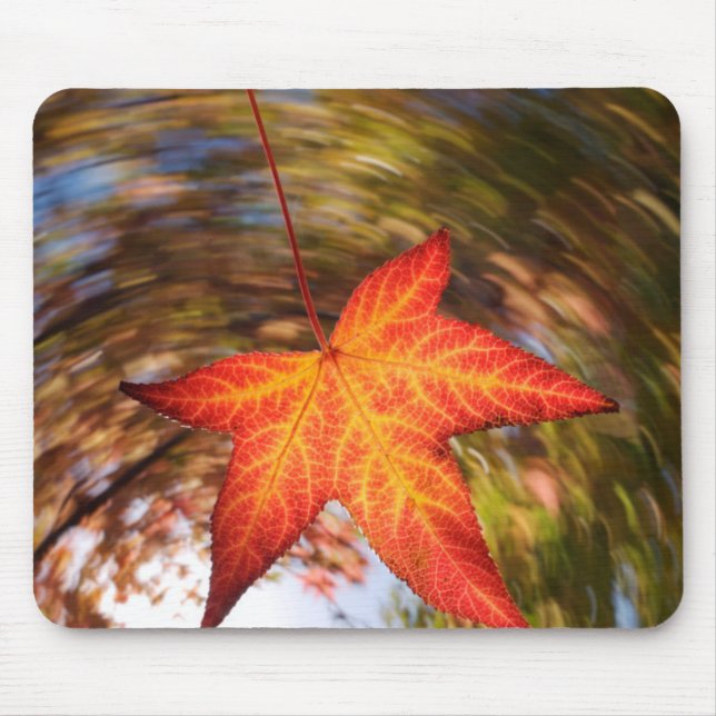 Falling Leaf from a tree in autumn Mouse Pad (Front)