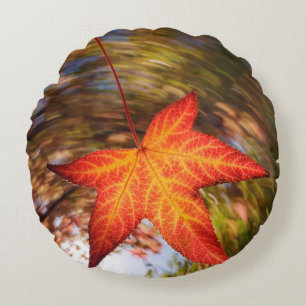 Falling Leaf from a tree in autumn Round Cushion
