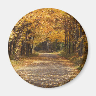 Falling Leaves Magnet