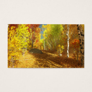 Falling Light Bookmarks