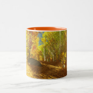 Falling Light Mug
