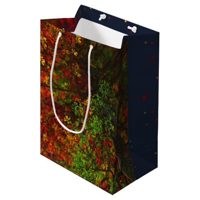 Falling Rainbow Gift Bag (Front Angled)
