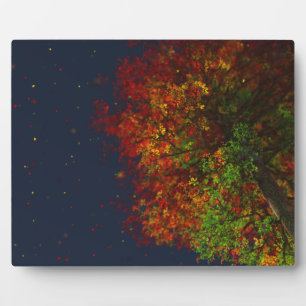 Falling Rainbow Picture Plaque