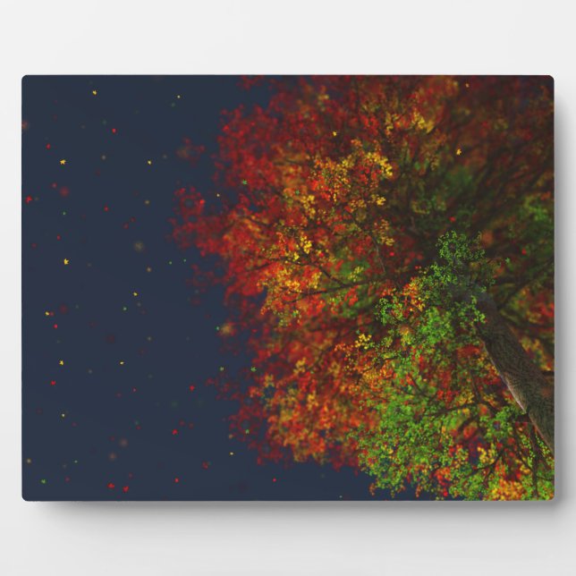 Falling Rainbow Picture Plaque (Front)