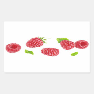 Falling raspberries rectangular sticker