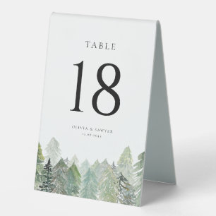 Falling Snow on Evergreen Forest Winter Wedding