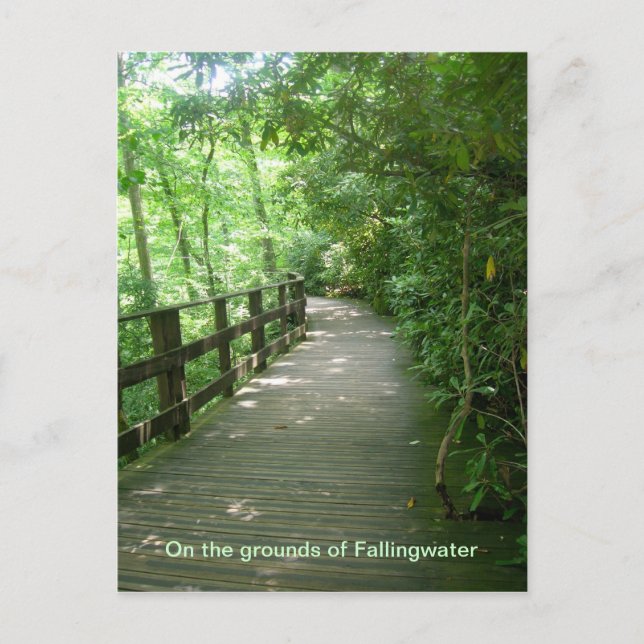 Fallingwater Postcard (Front)