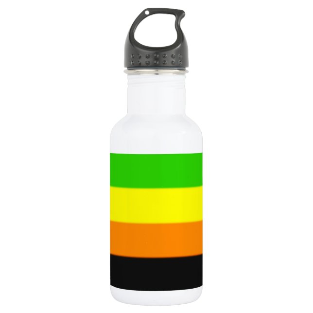 Fallln Aromantic Pride Flag 532 Ml Water Bottle (Front)