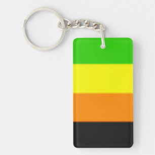 Fallln Aromantic Pride Flag Key Ring
