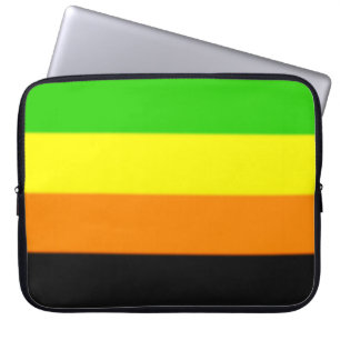 Fallln Aromantic Pride Flag Laptop Sleeve