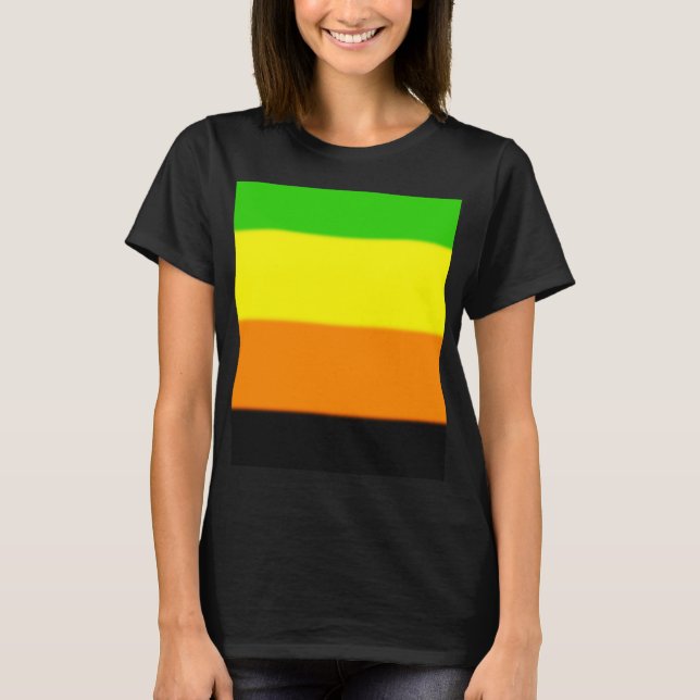 Fallln Aromantic Pride Flag T-Shirt (Front)